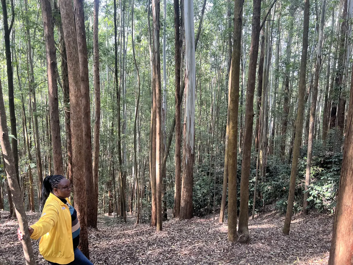 4.2 acres Land for Sale in Githiga, Kiambu | Kekam Real Estate