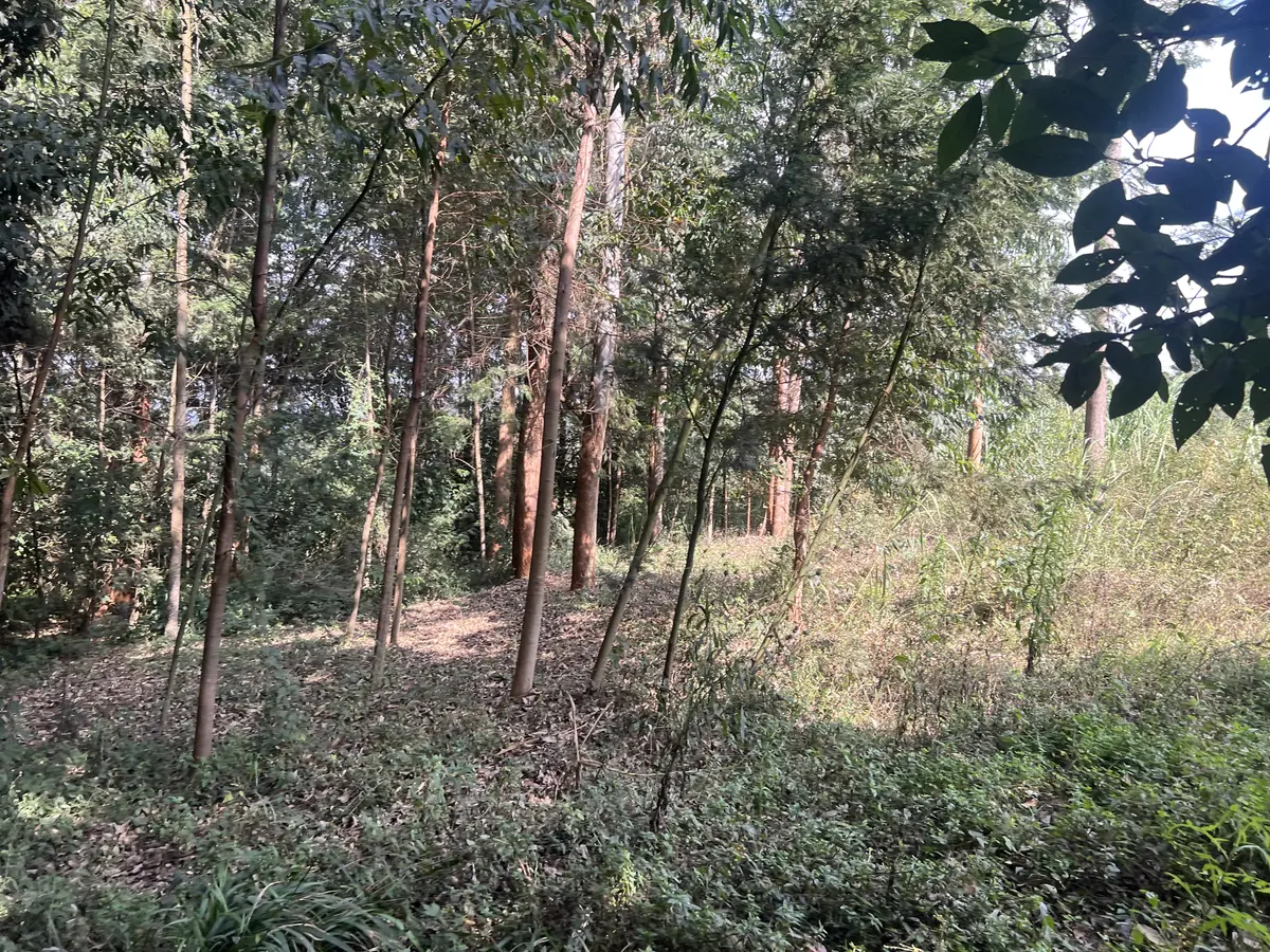Access infrastructure view