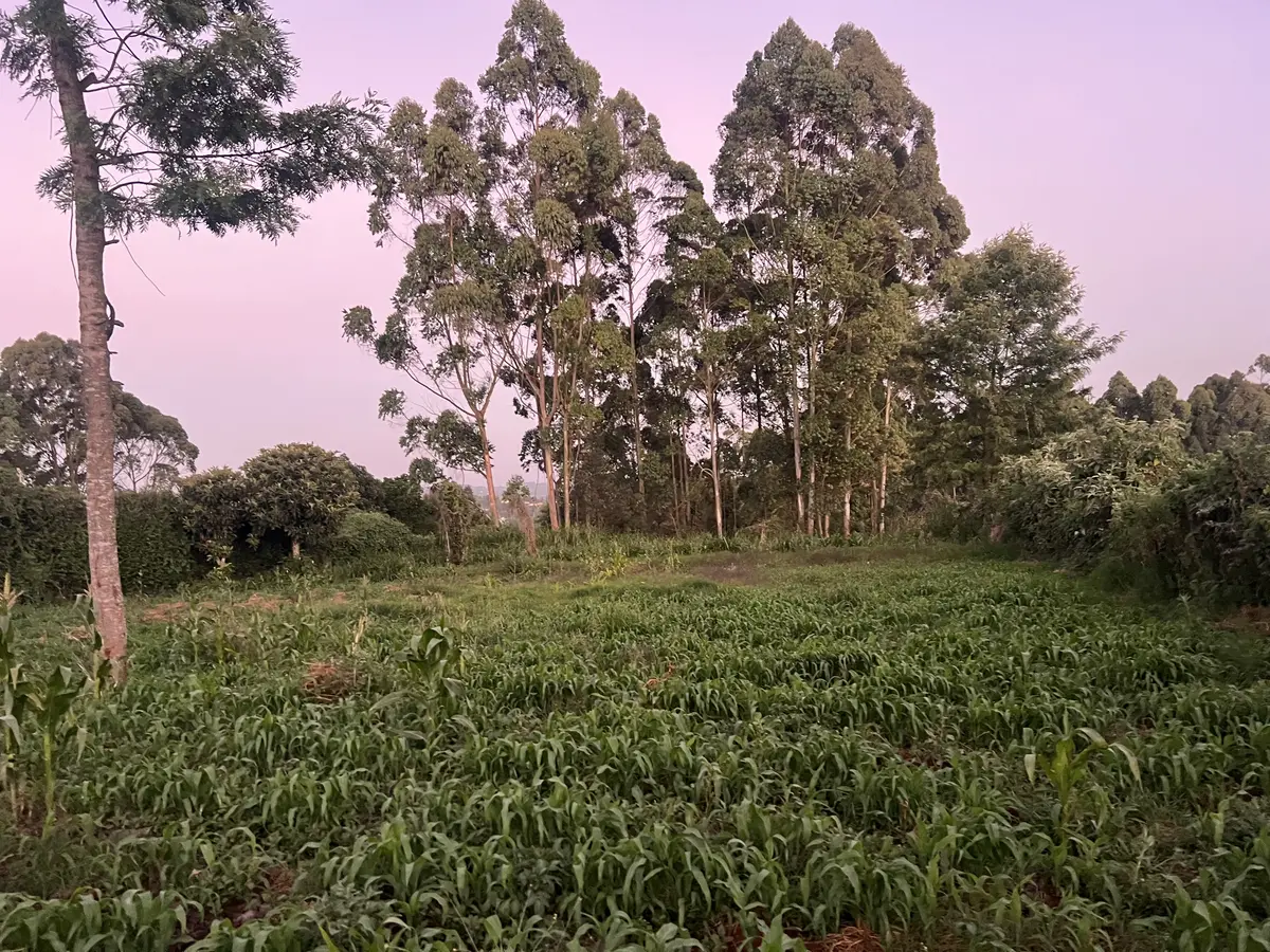 50 by 100 Land for Sale in Kasphat estate, Kasphat | Kekam Real Estate