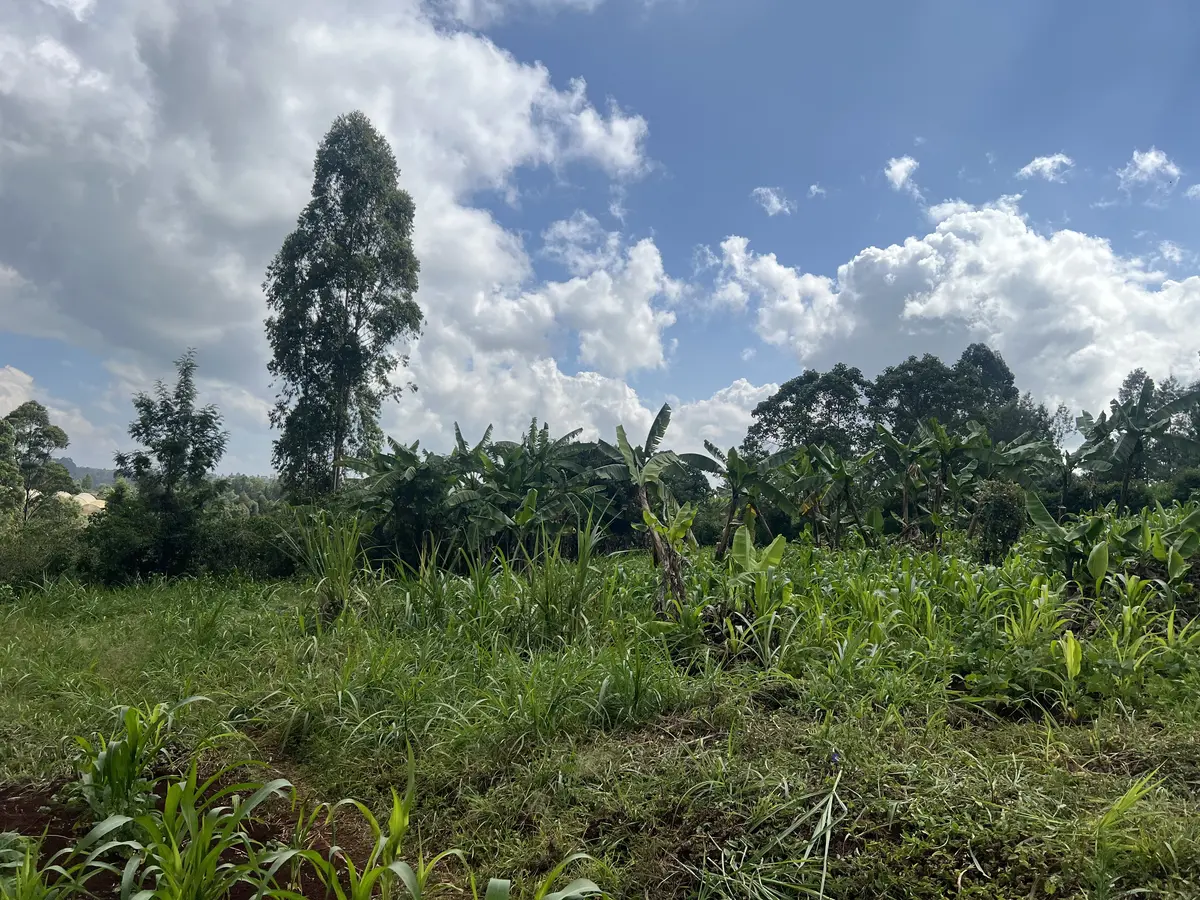 40 by 100 Land for Sale in Kawaida, Kawaida shopping center | Kekam Real Estate
