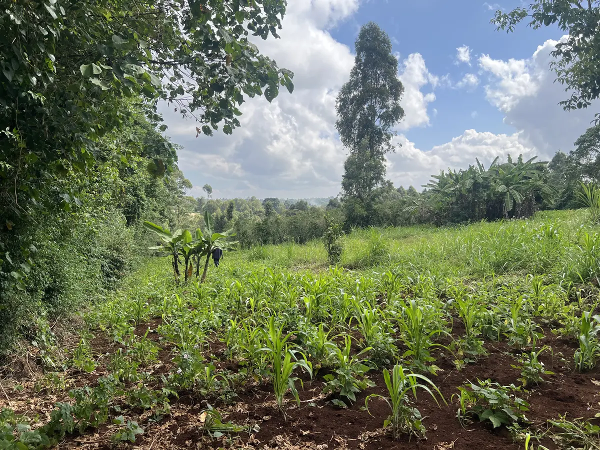 1 Acre Land for Sale in Kiambaa, Banana | Kekam Real Estate