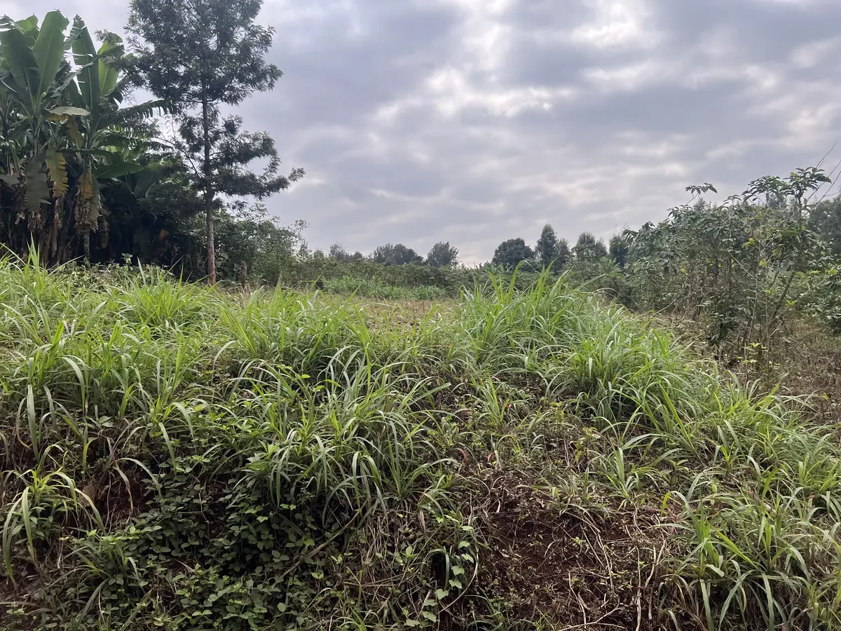 50 by 100 Land for Sale in Njoro, Muchatha | Kekam Real Estate