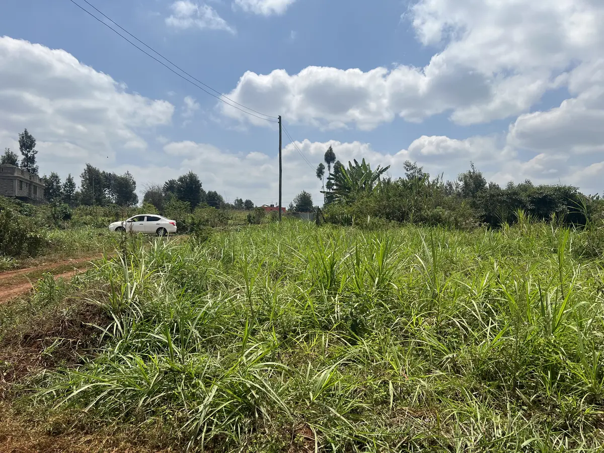 40 by 80 Land for Sale in Njoro, Muchatha | Kekam Real Estate