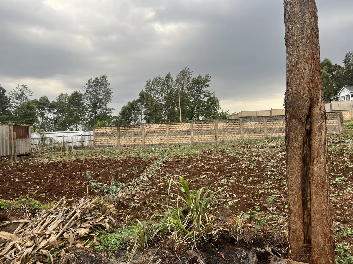 100 by 100 Land for Sale in Sacred hearts, Muchatha | Kekam Real Estate